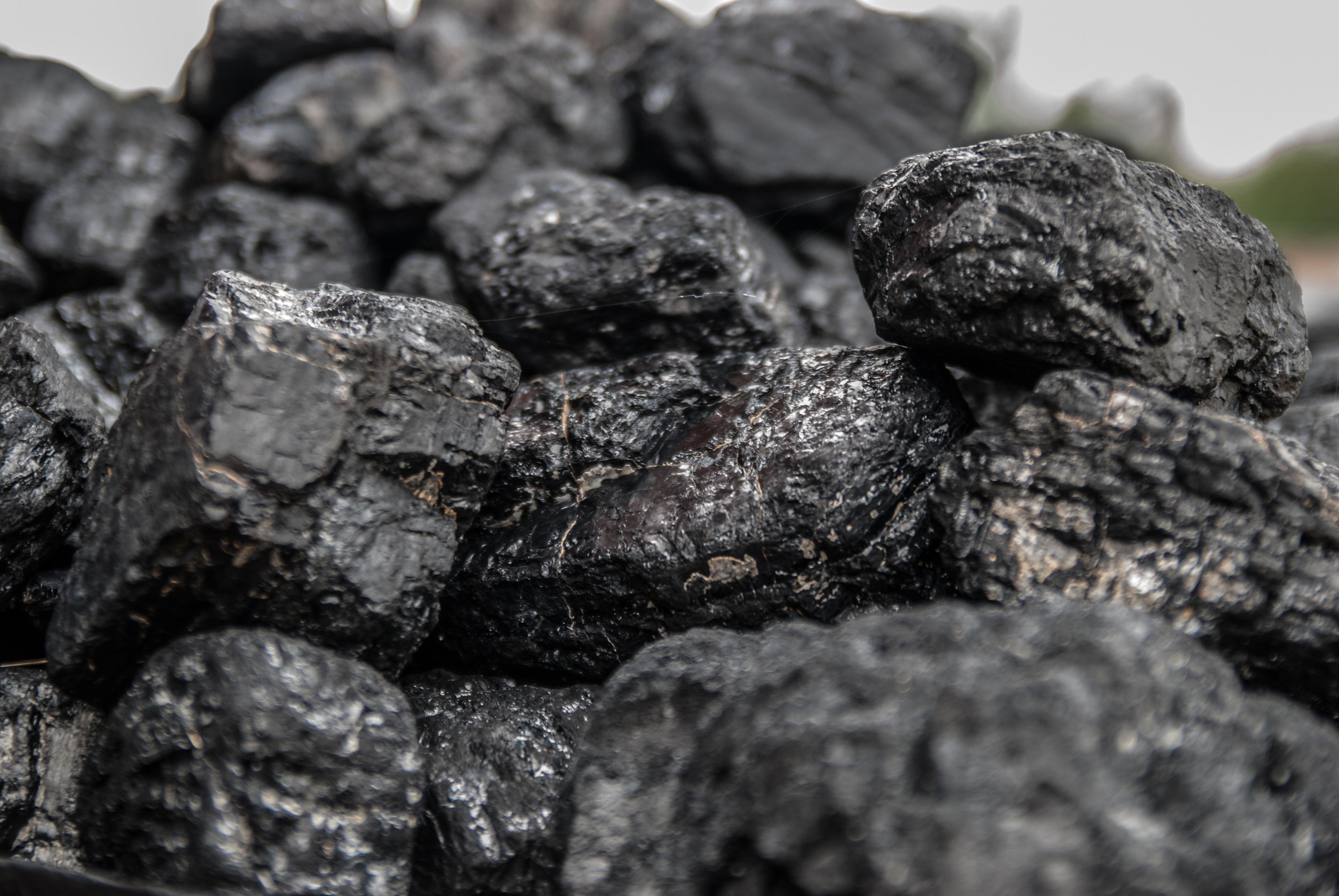 black-close-up-coal-46801