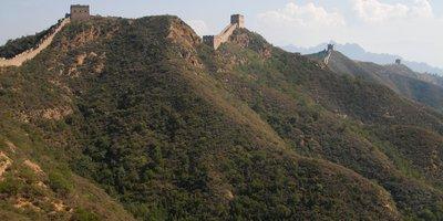 Part 2: Evaluating China's Tree-Planting Activity