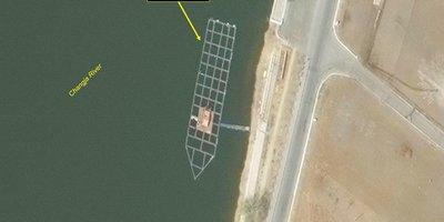 North Korea's Animal Protein Farming: Expansion Status and Challenges