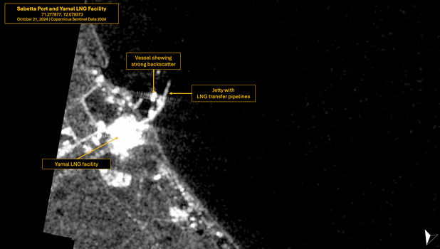 Sentinel-1 SAR image of Sabetta port and Yamal LNG Facility