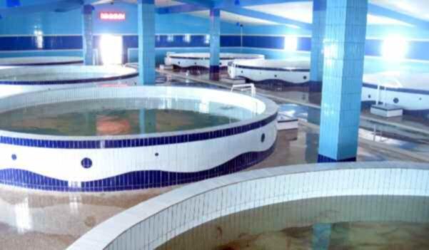 19 0523 RS Myongchon Catfish Farm 2